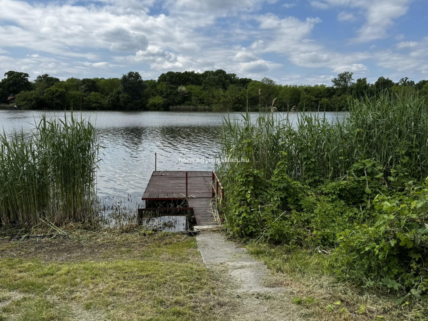 VÍZPARTI STÉGES NYARALÓ DÖMSÖDÖN – NY14