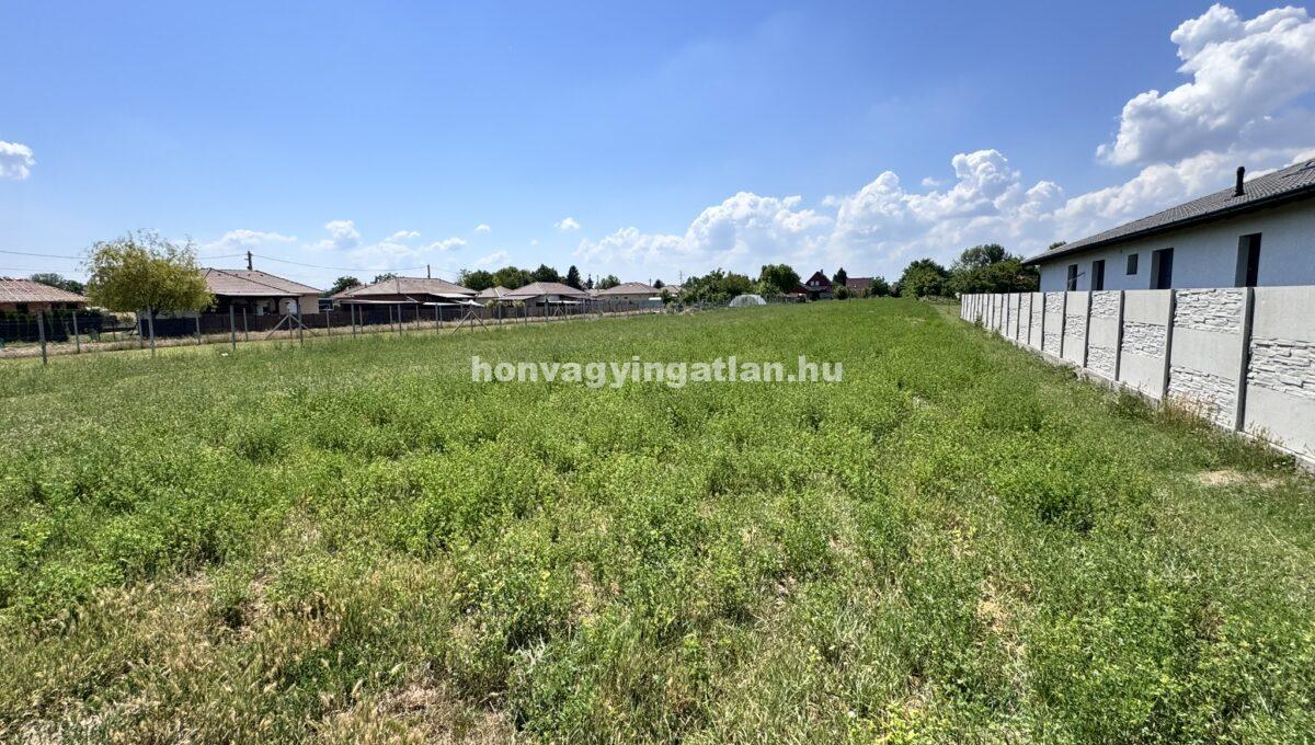 IMG_9858(1)