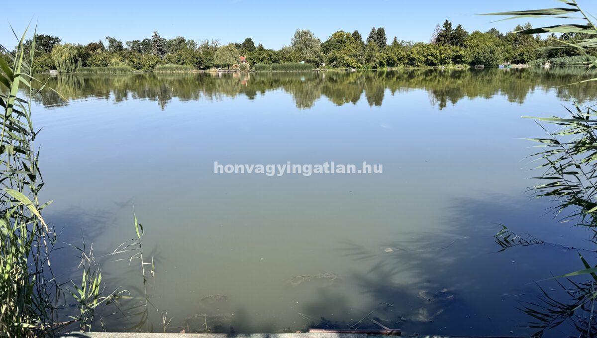 IMG_0202(3)