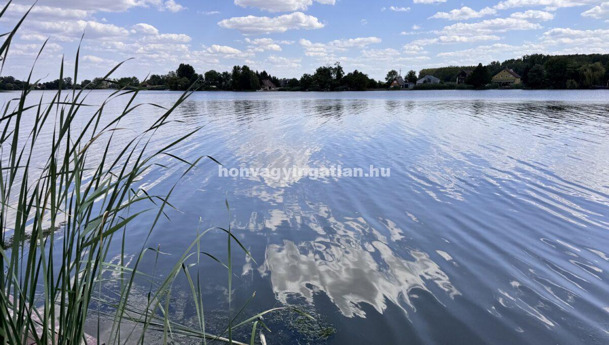 IMG_0317(4)