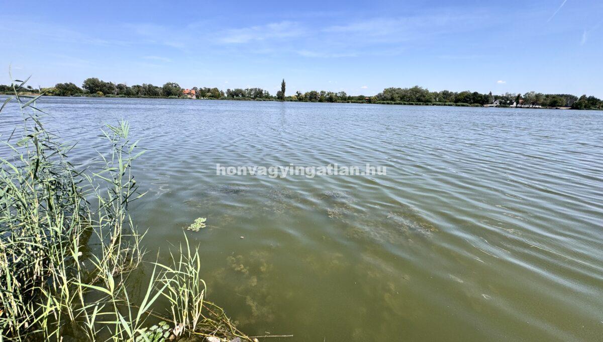 IMG_0446(4)