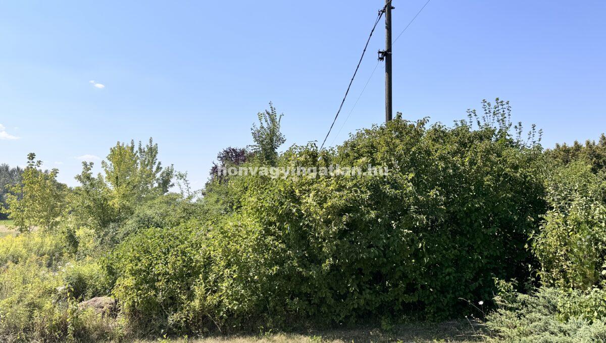 IMG_0785(2)
