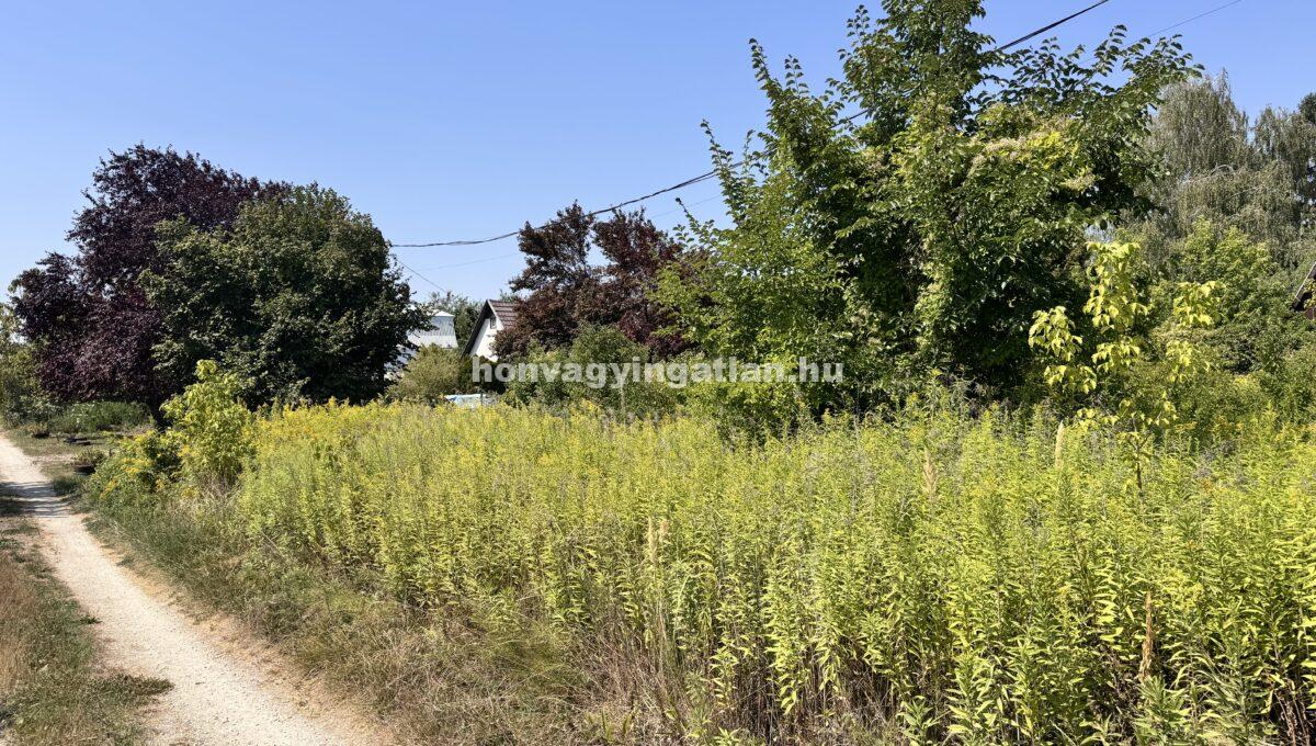 IMG_0787(2)