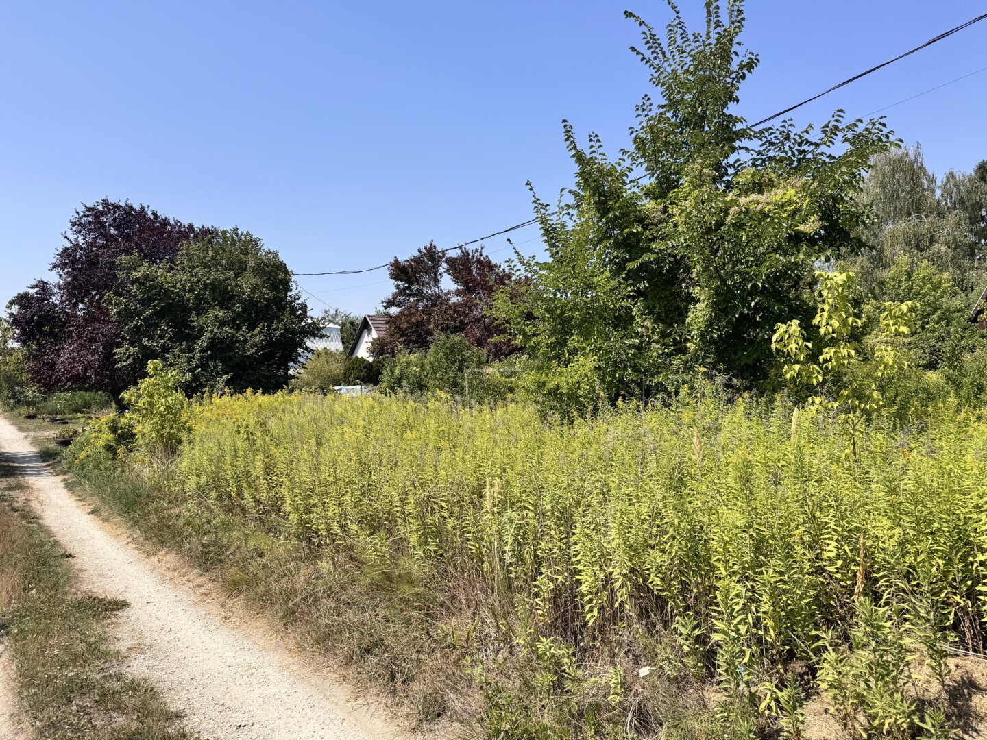 Ráckeve, Somlyó-szigeten, a Dunától mindössze 150 méterre 420 m²-es telek,-t22