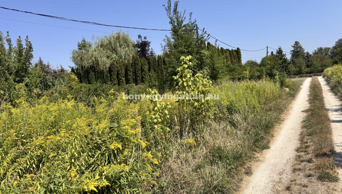 IMG_0788(1)