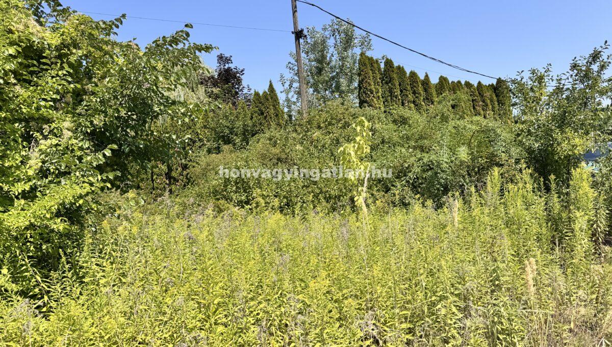 IMG_0791(1)