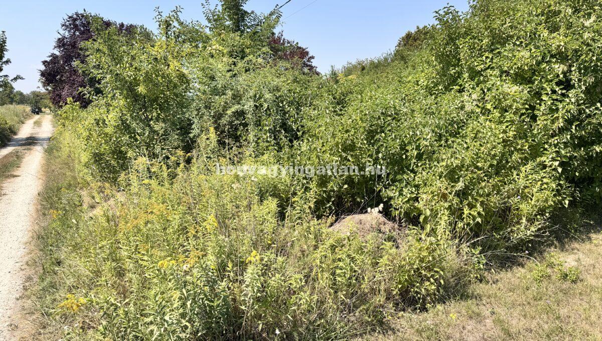 IMG_0793(2)