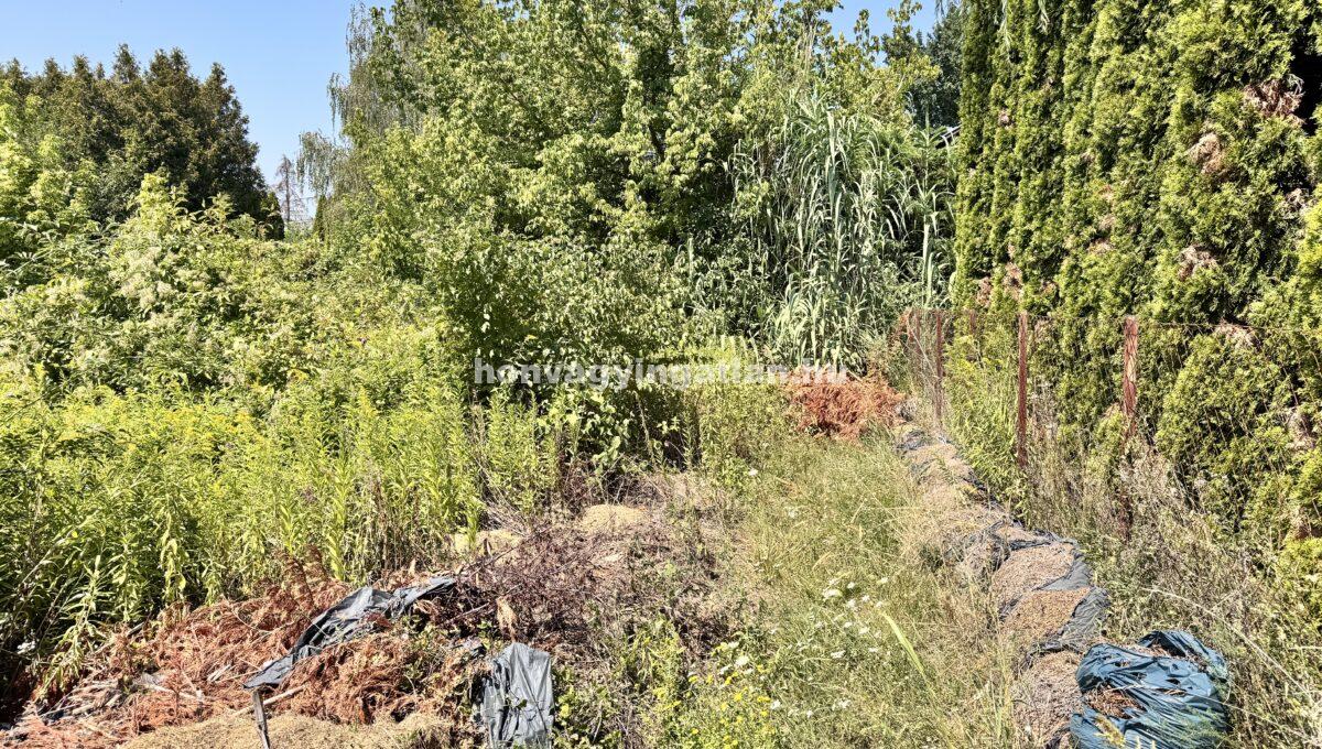 IMG_0796(2)
