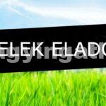 ÉPÍTÉSI TELEK, ÜZLETI LEHETŐSÉG RÁCKEVE – T22